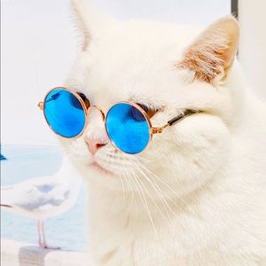 Blue sunglasses for pets ❤️